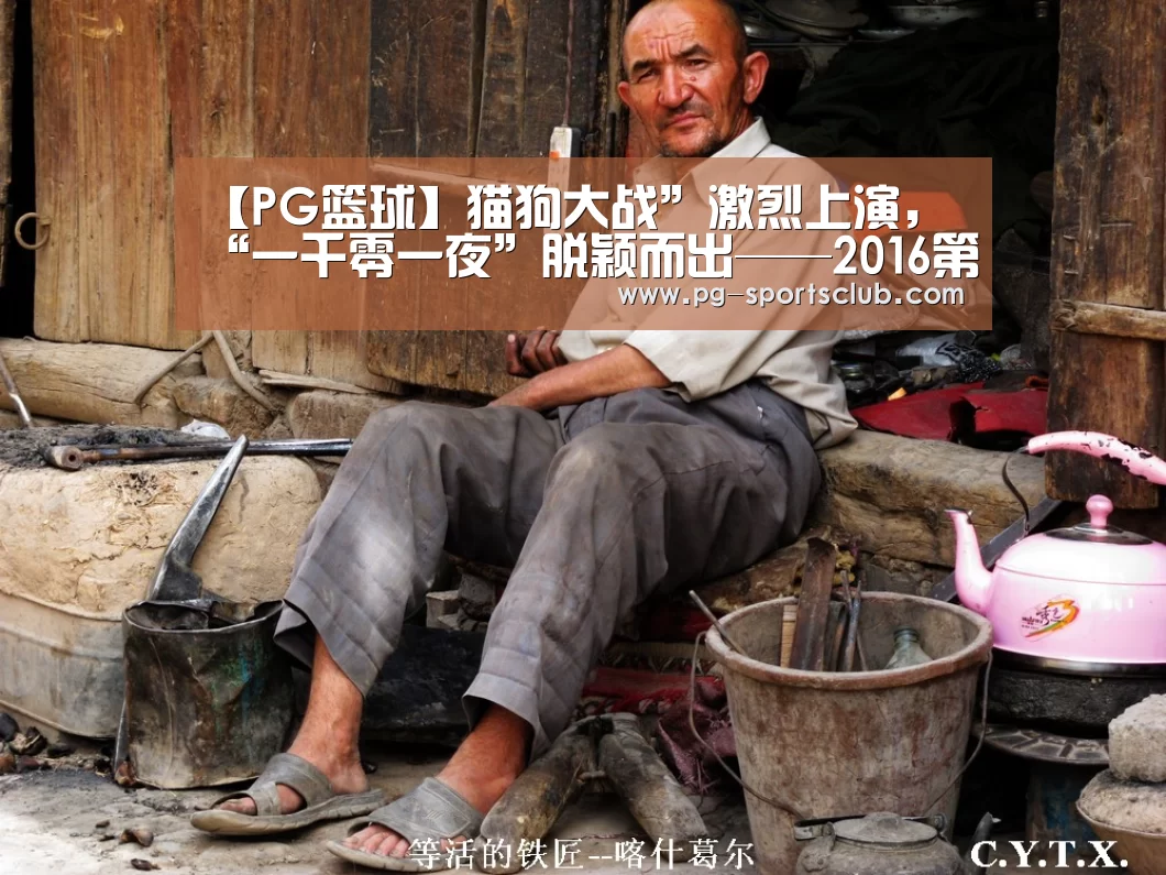 【PG篮球】猫狗大战”激烈上演,“一千零一夜”脱颖而出——2016第十六届“中国新广告奖”评审 在上师大成功举办(图1) PG竞猜