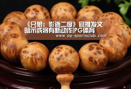 《只狼:影逝二度》官推发文 暗示或将有新动作|PG体育(图3) PG竞猜