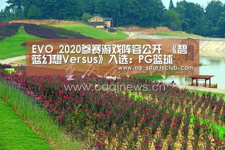EVO 2020参赛游戏阵容公开 《碧蓝幻想Versus》入选:PG篮球(图2) PG竞猜