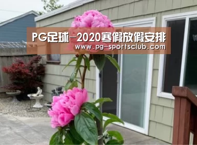 PG足球-2020寒假放假安排(图1) PG篮球
